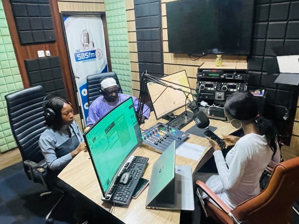 Analyst faults INEC on PVC revalidation, urges power reforms